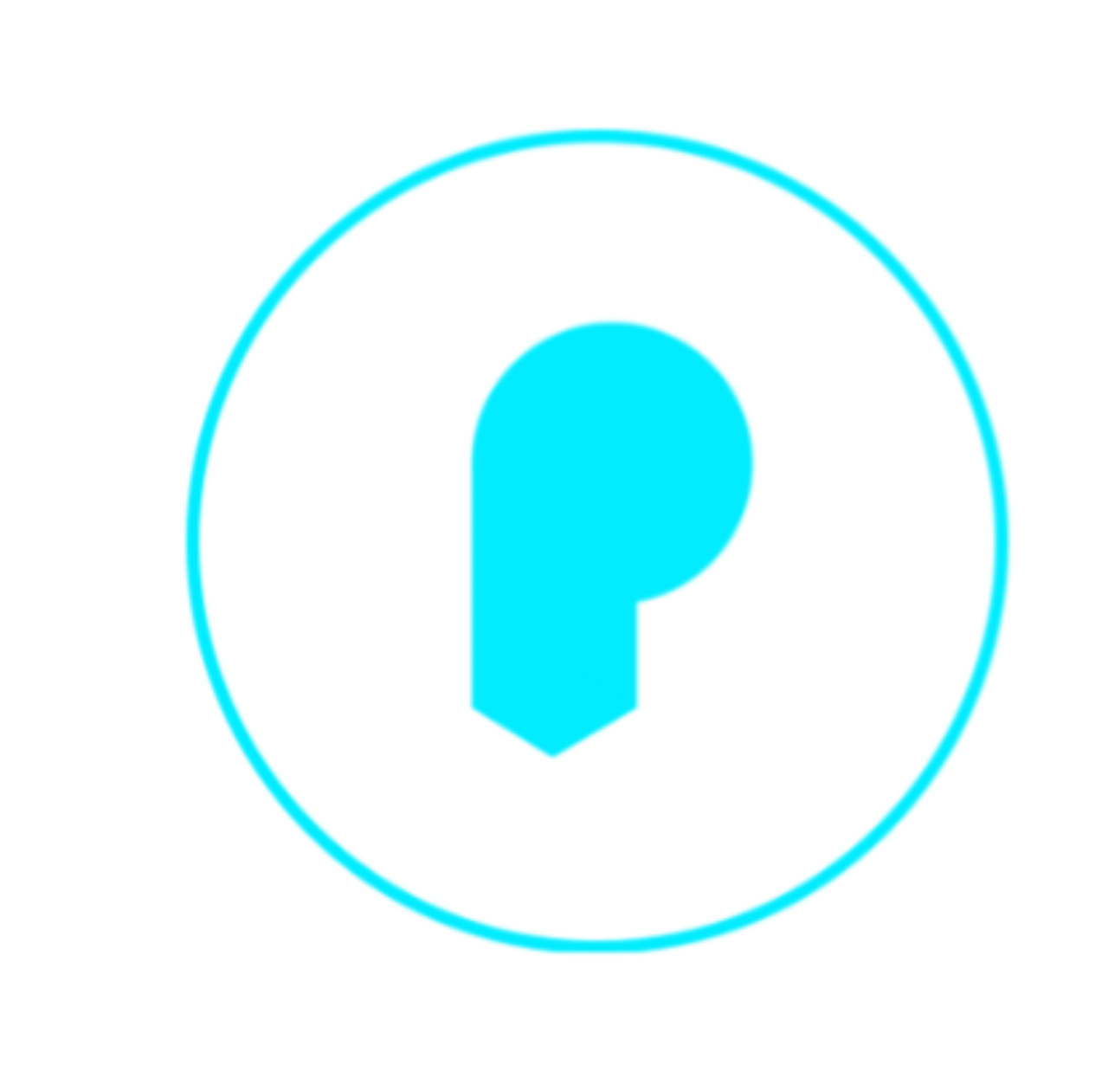 Portfolio logo